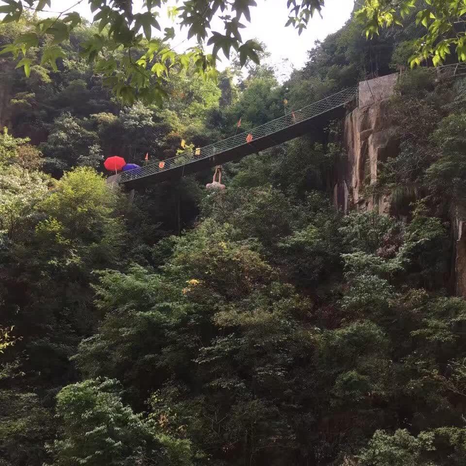 龙哥