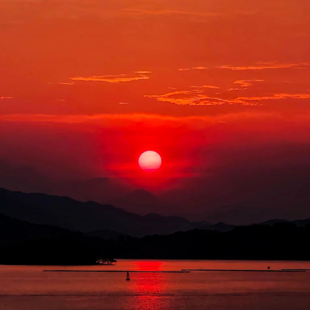 大大