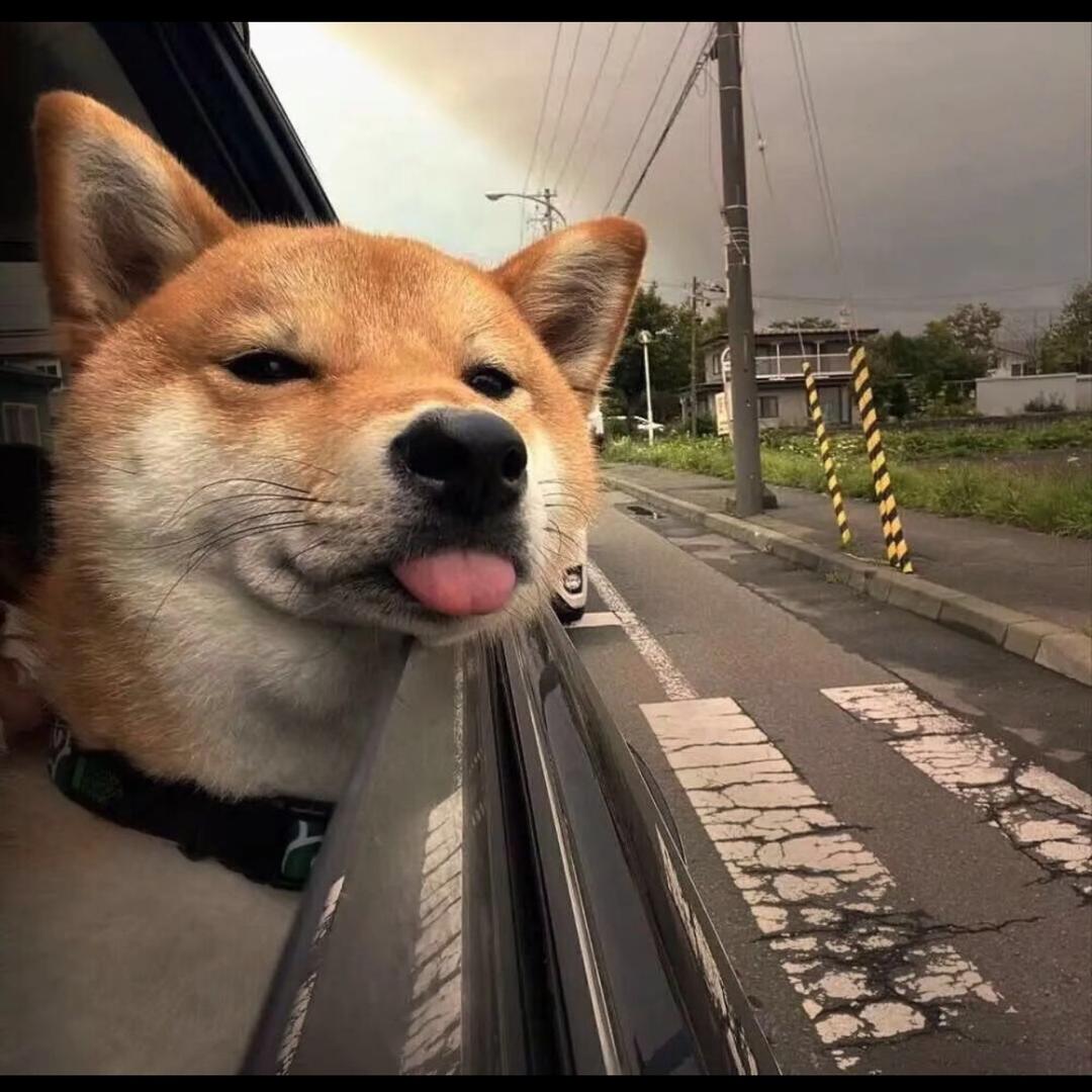 秘密萌宝
