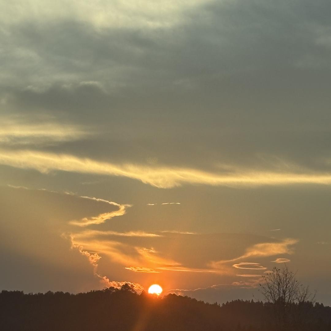 露喜电子商务商行