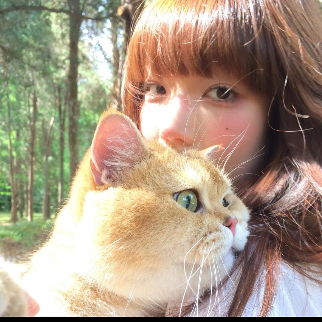 壹芝鱼🐟
