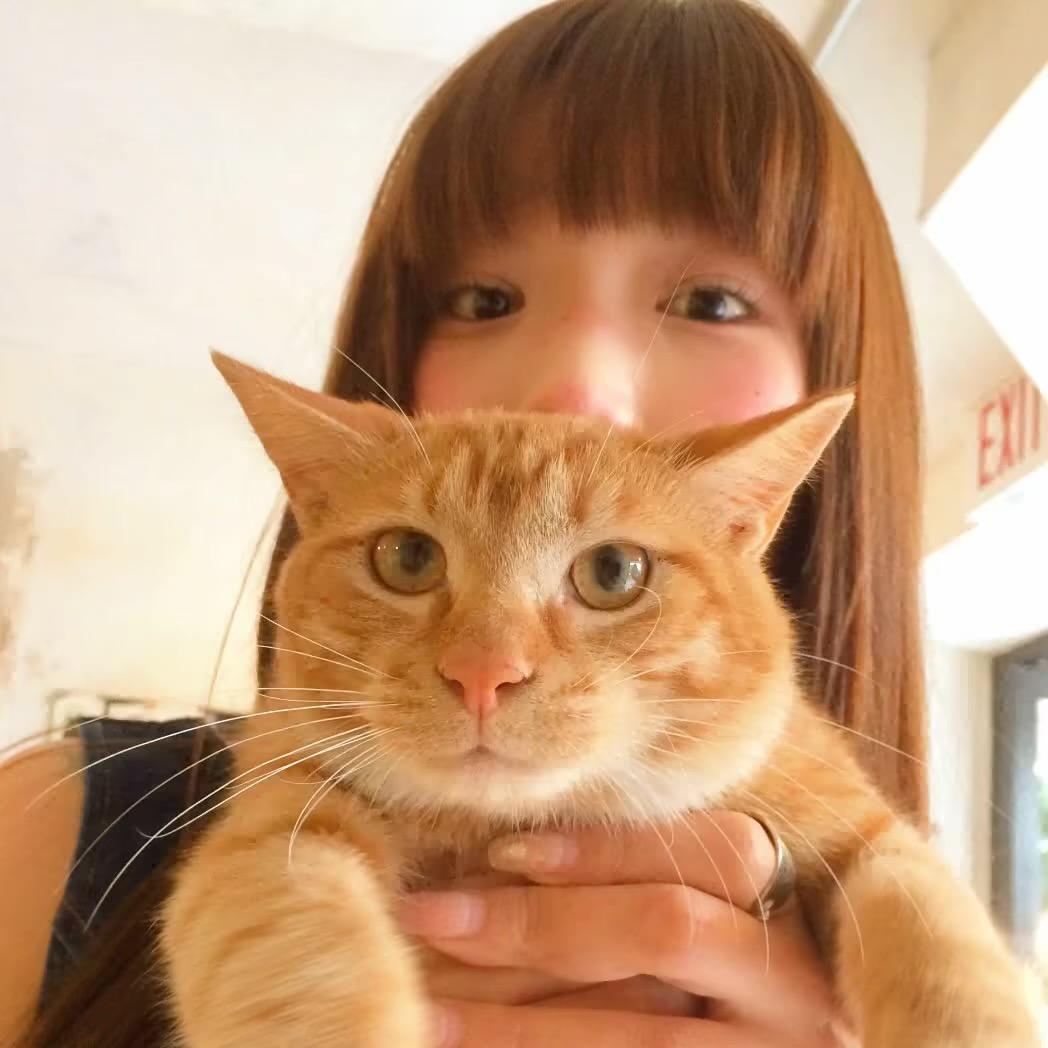他们写信总叫我PYY💤