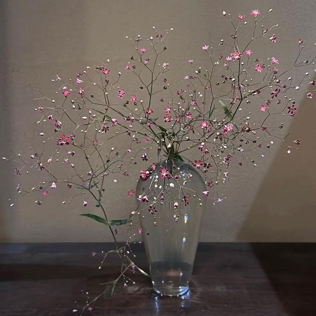 芈🌟