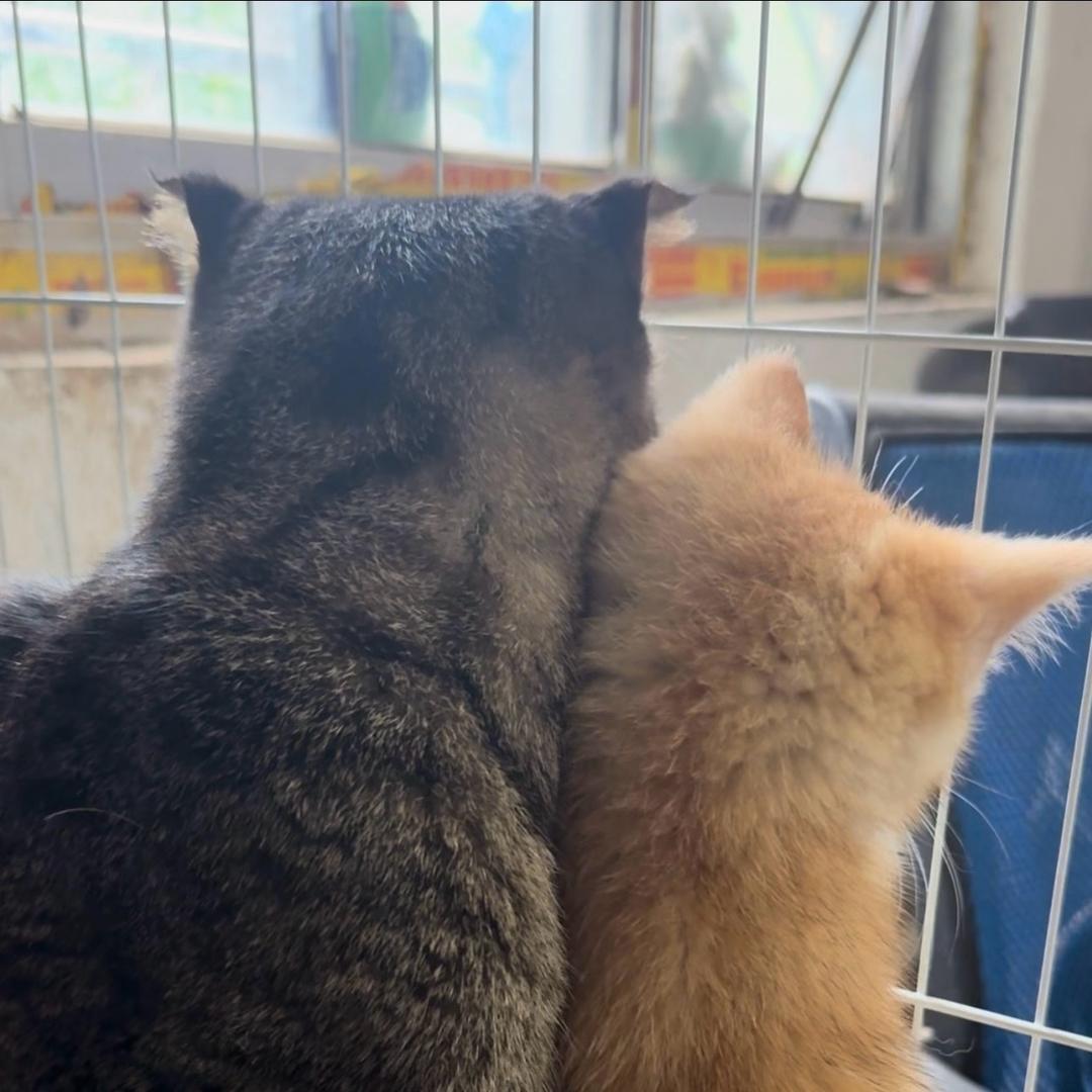 可可球球是一家😻👏