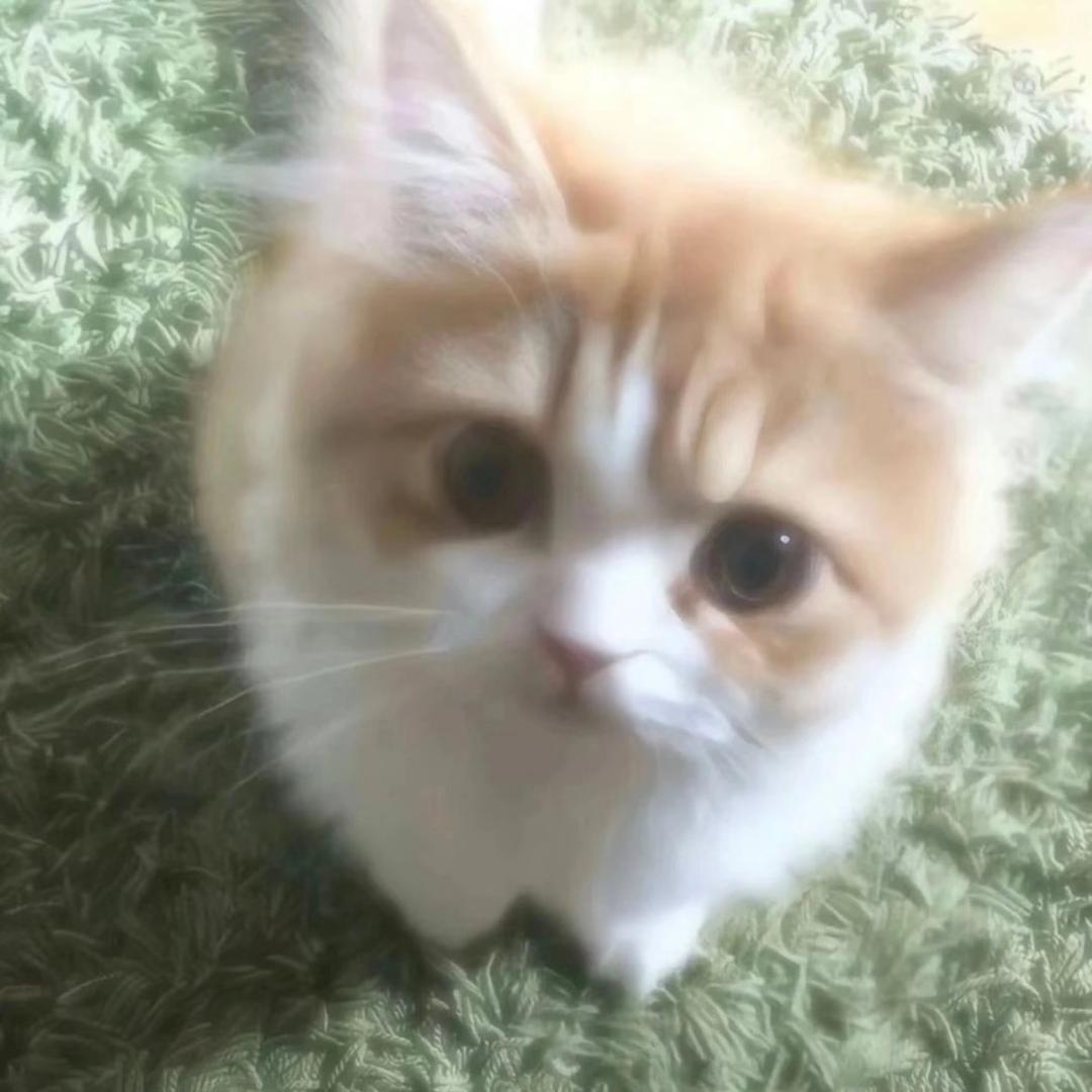粥粥的小铺