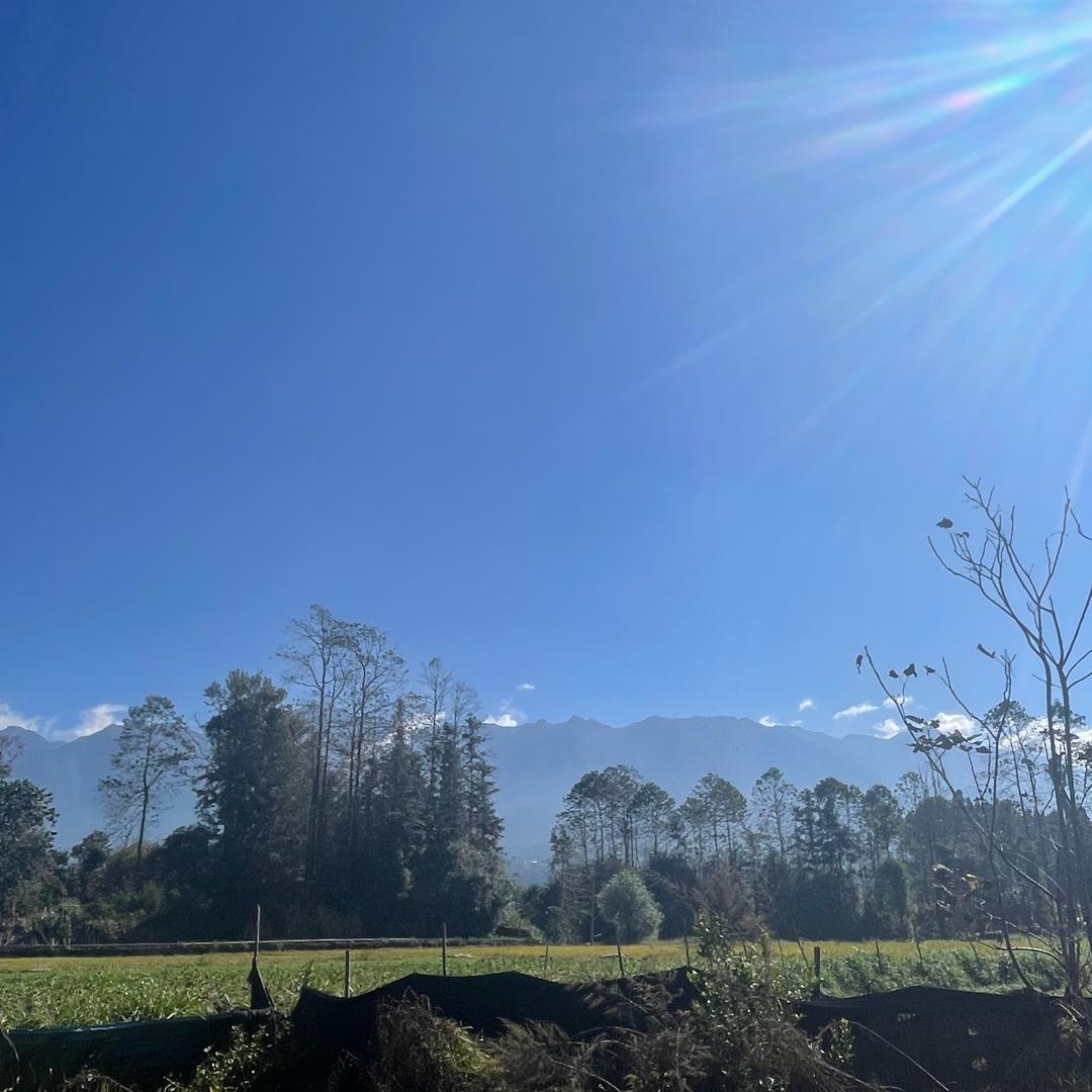 小江寻缅记3号店