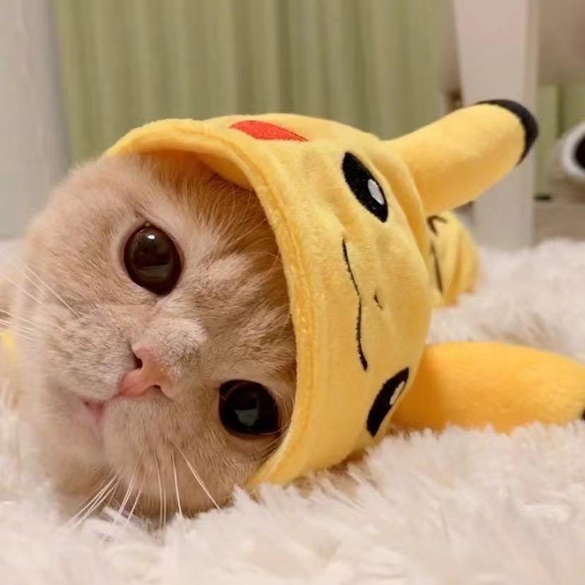 梦琳💭ྀི