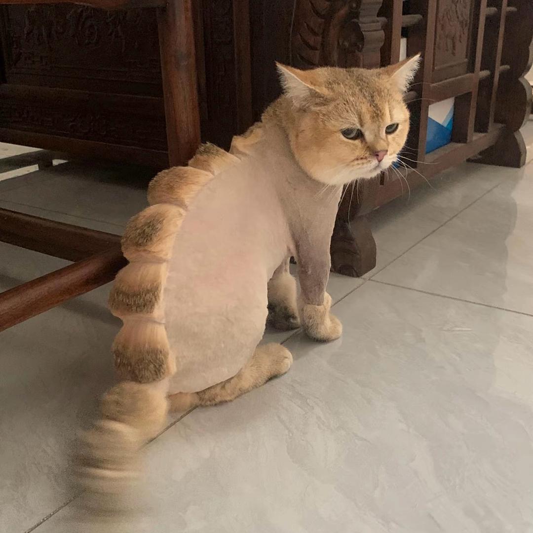 비