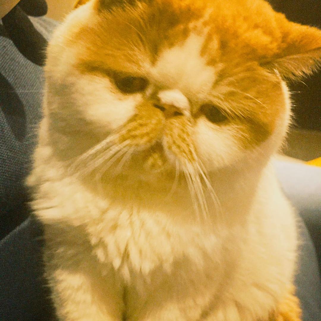 贰拾壹.