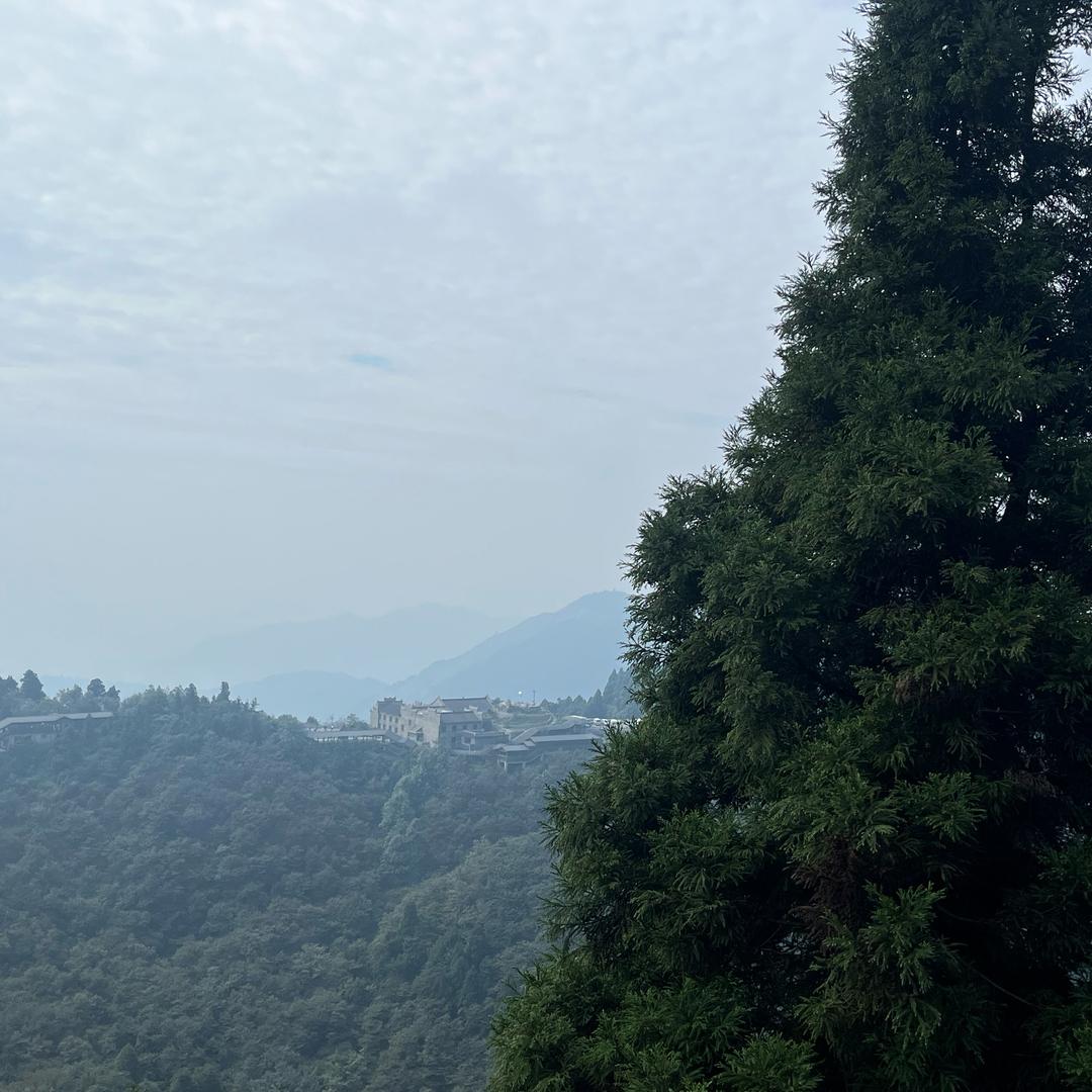 希望是梦