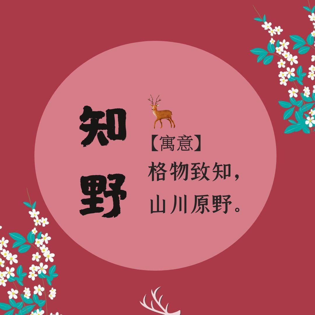 🌈金溪知野户外租赁