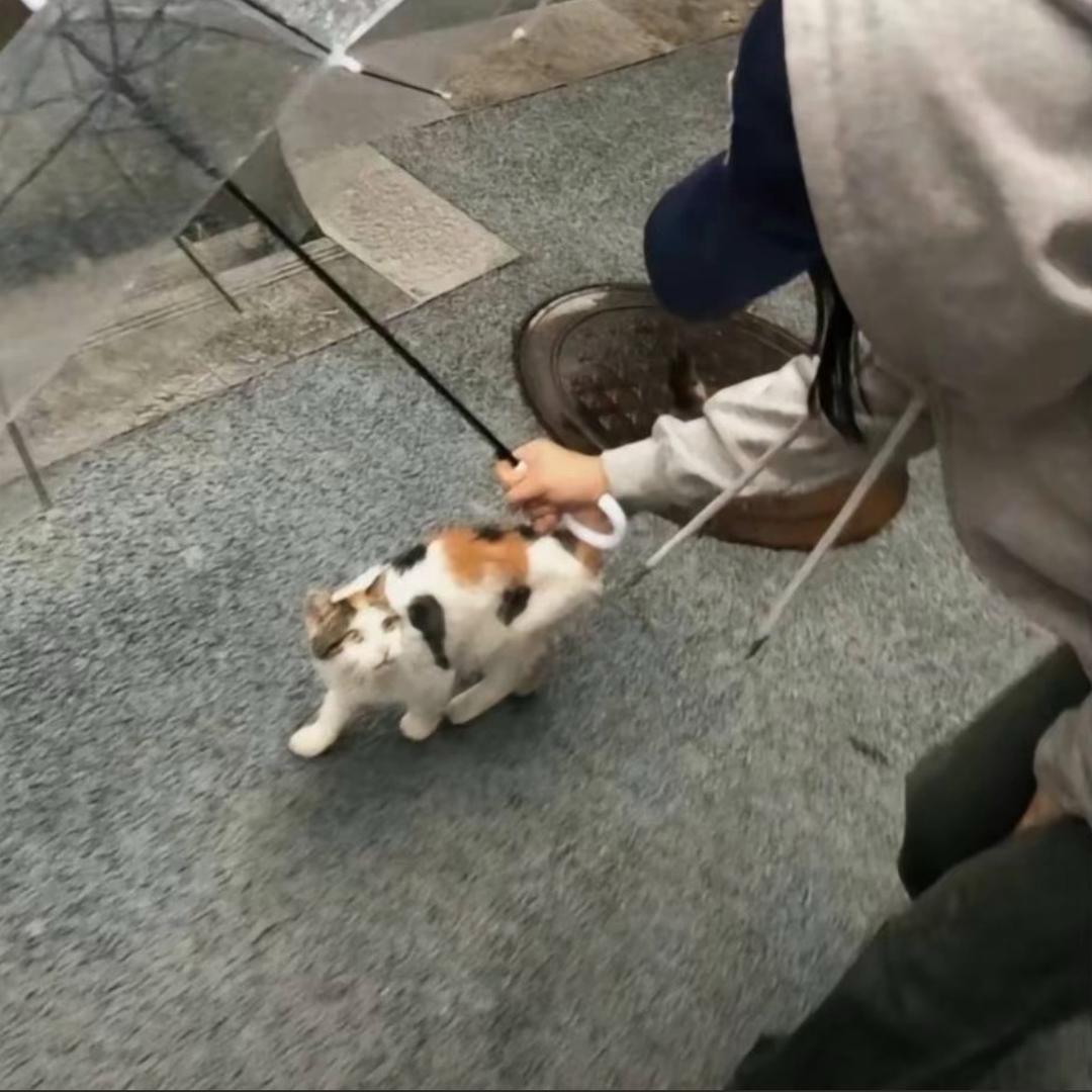 闹心