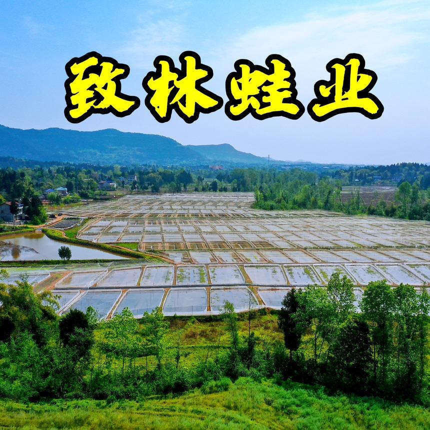 营山致林青蛙养殖专业合作社