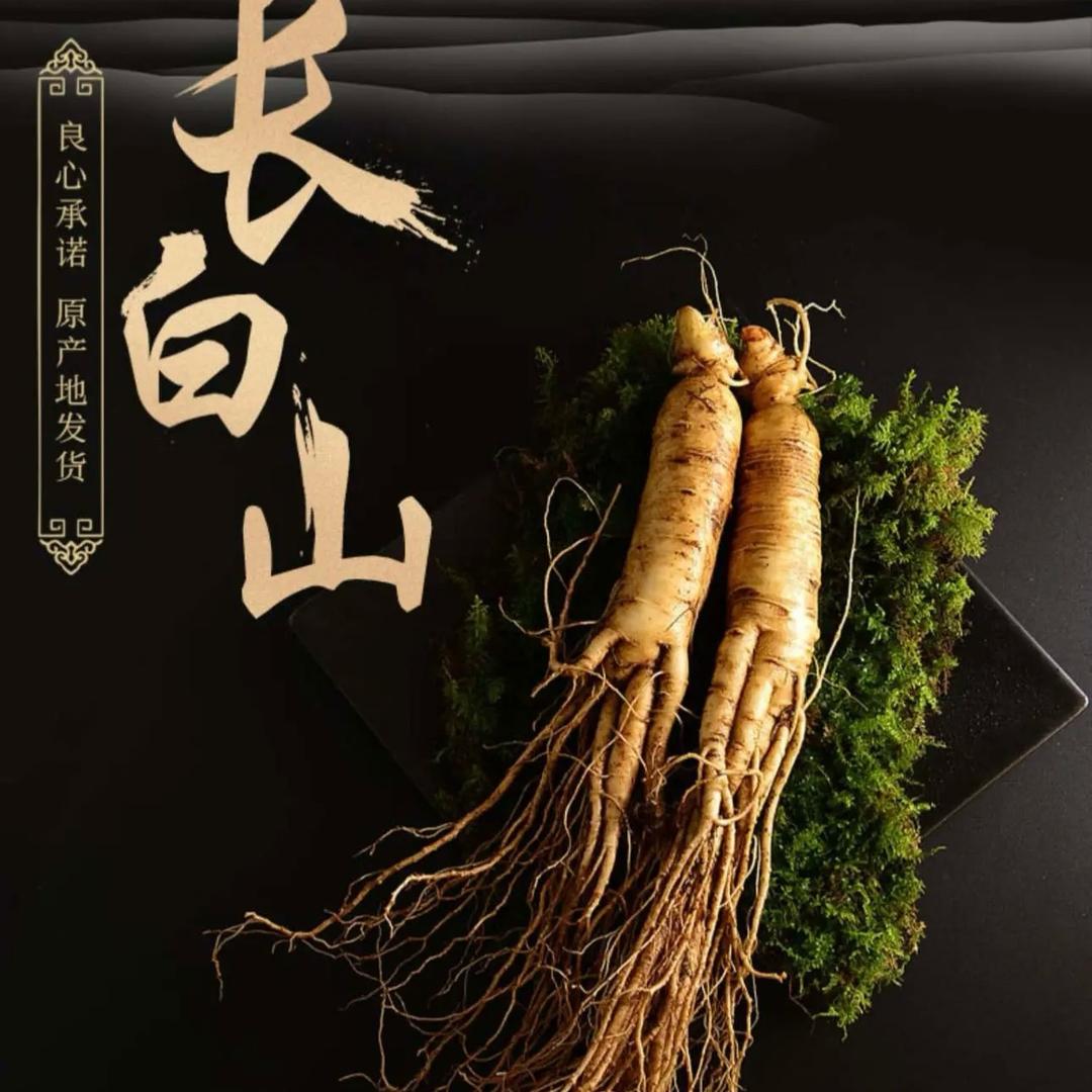 长白山人参
