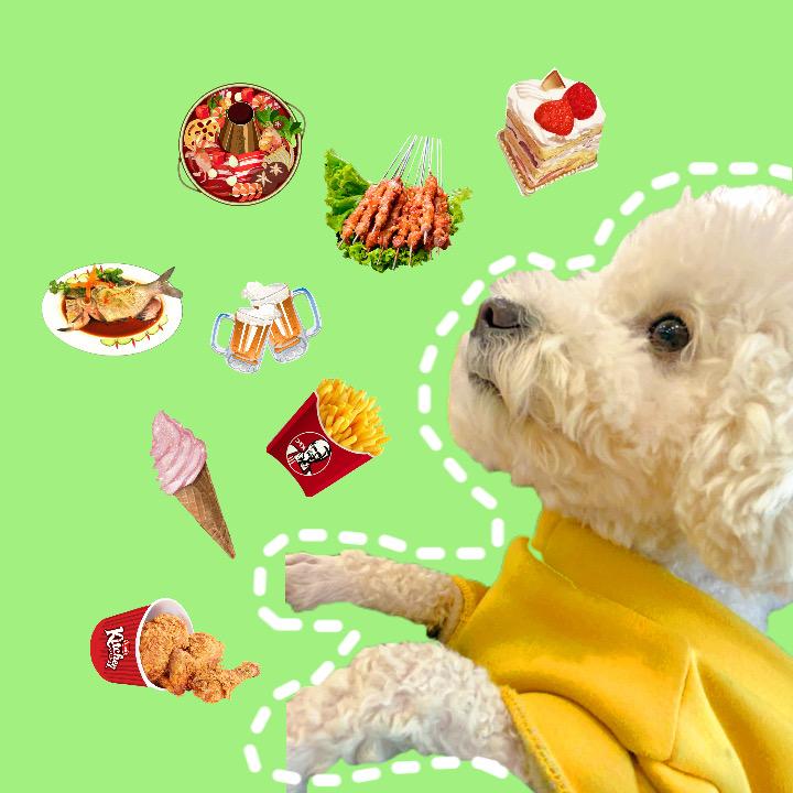 黑豆不是豆