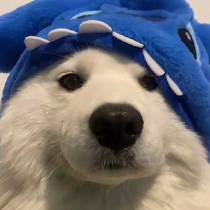 重生之我在星途做销售