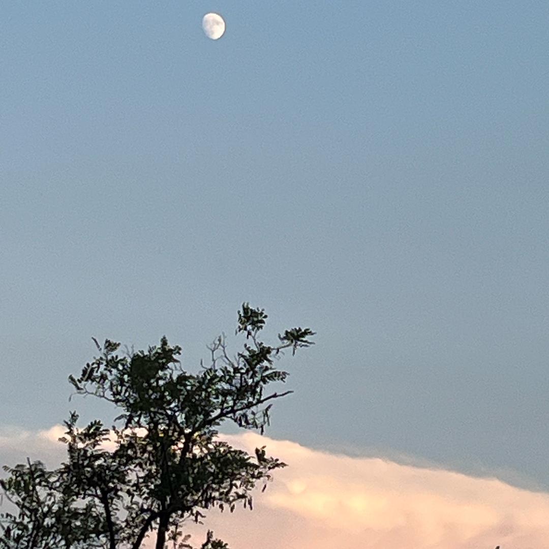 坐等～