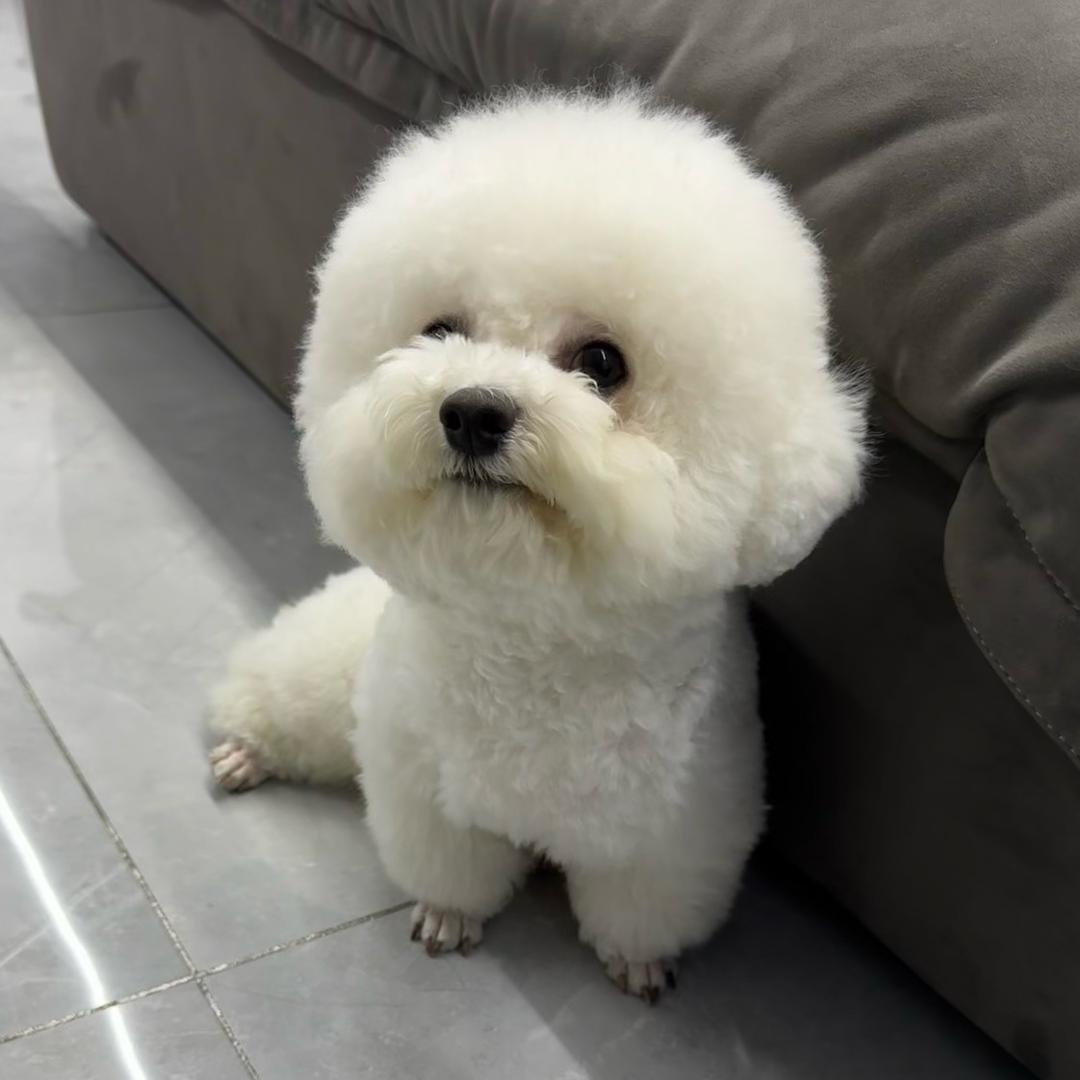 百万