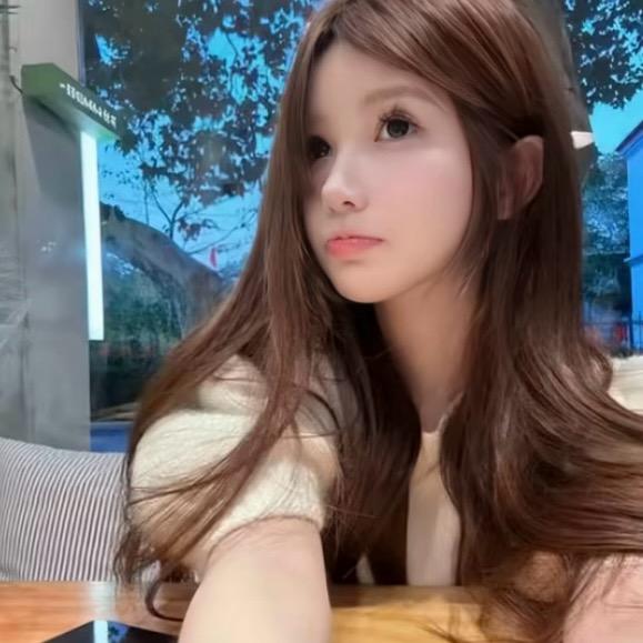 懒猫猫