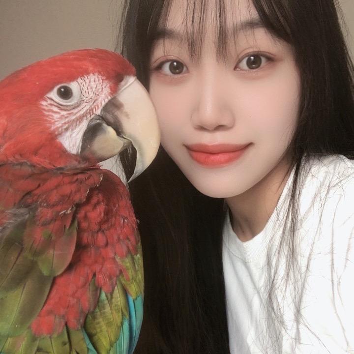 厦门萌宠鹦鹉🦜