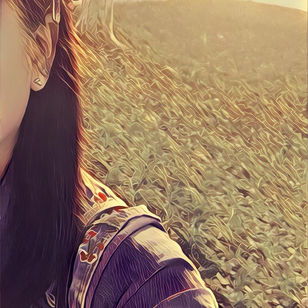 世纪阳光✨¹⁰⁰⁰