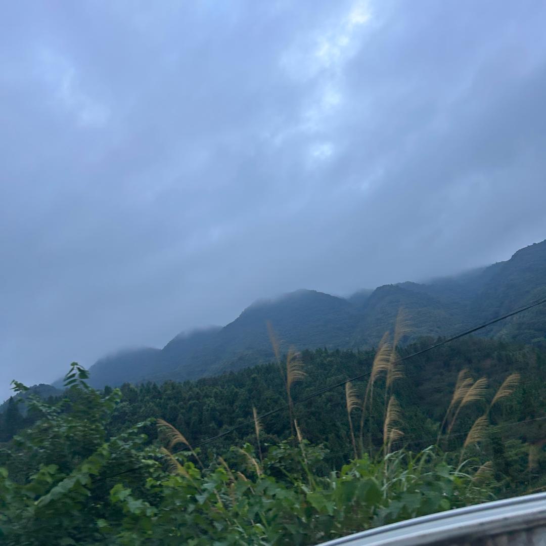 你的选择呢🔆