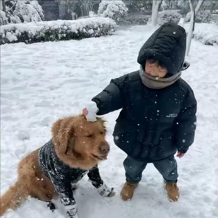农村深情男