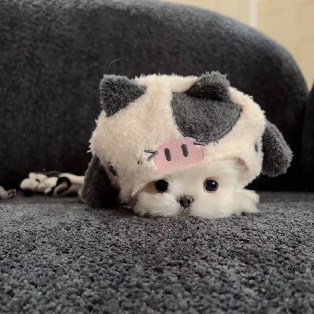 嘻嘻！