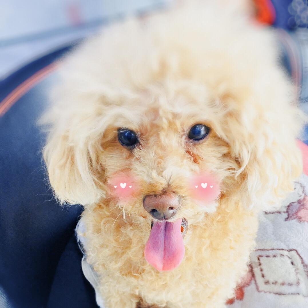 smile