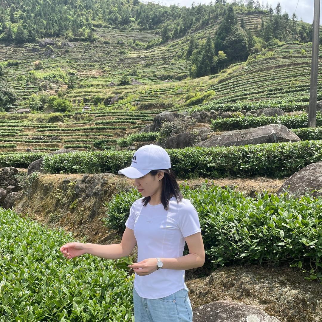 茗鼎茶厂可可