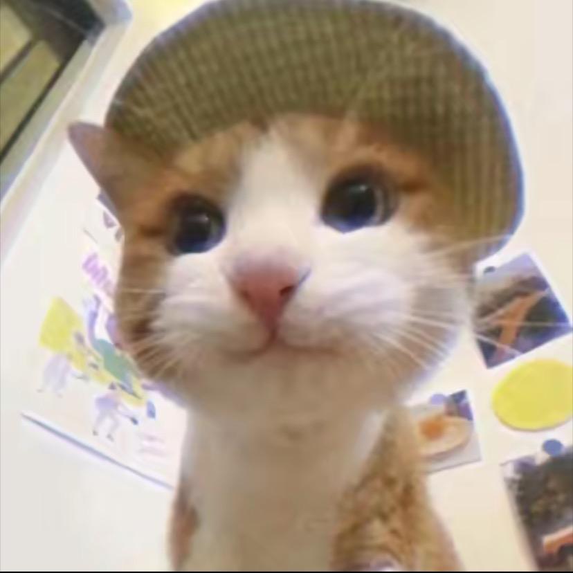 香蕉你个不拿拿。