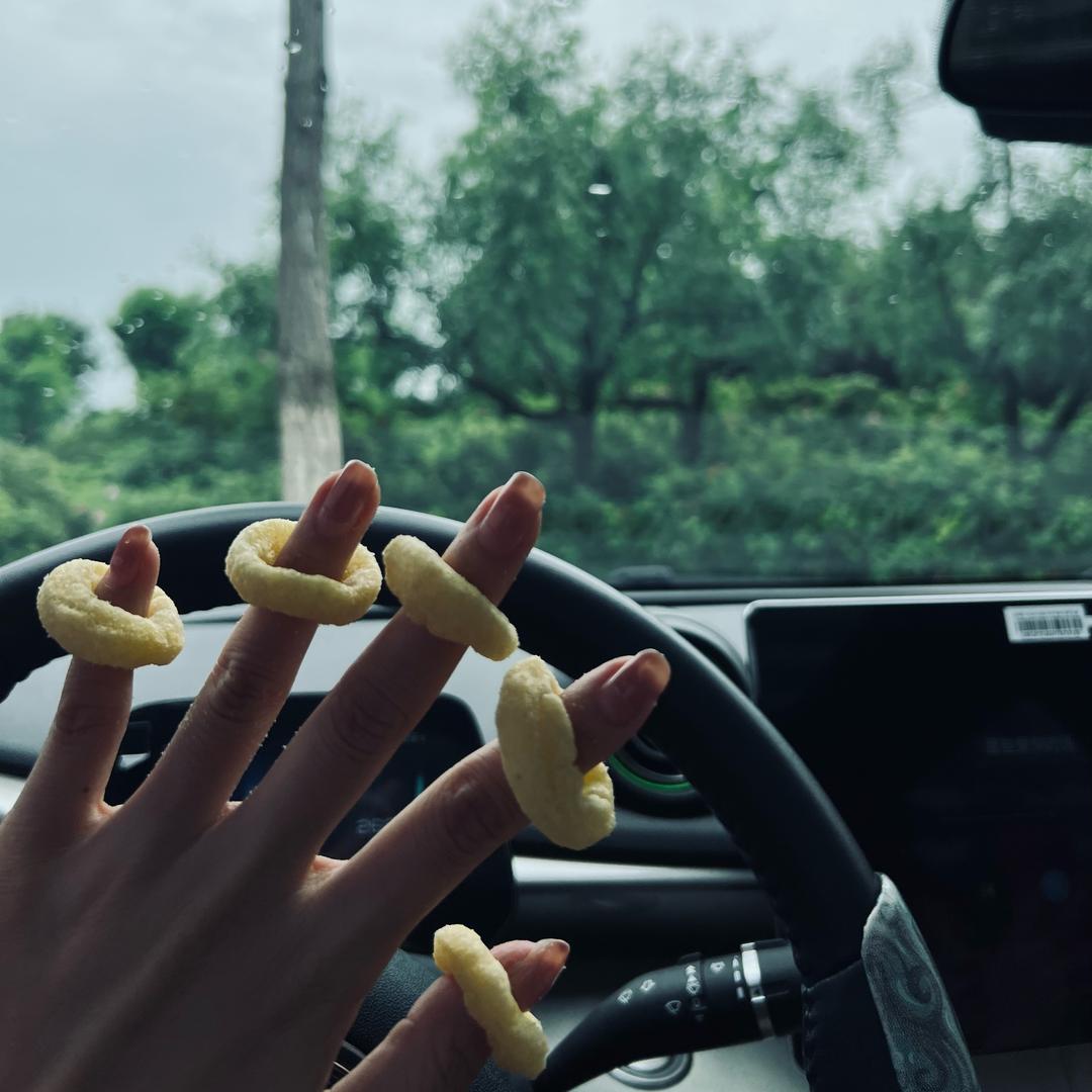 🌻.🌻