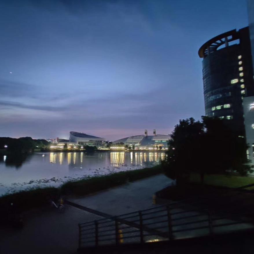 爱吃耙耙柑的文导