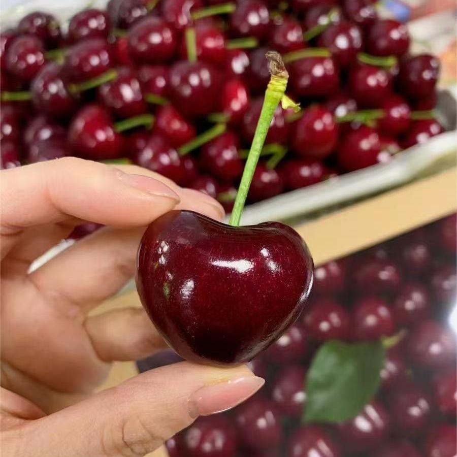 糖笑心心水果供应链