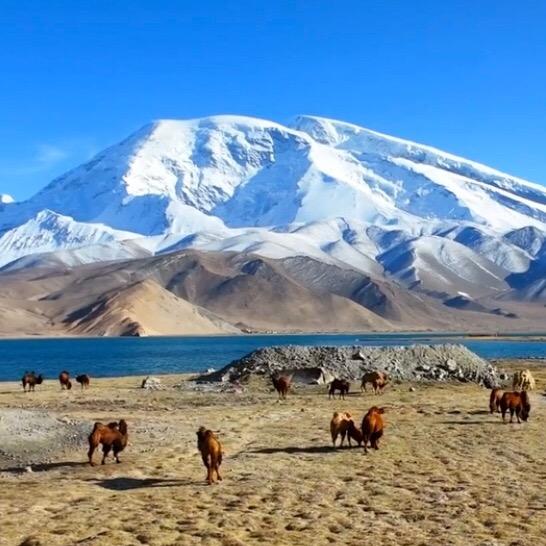 新疆欢心游国际旅行社有限公司喀什市分公司