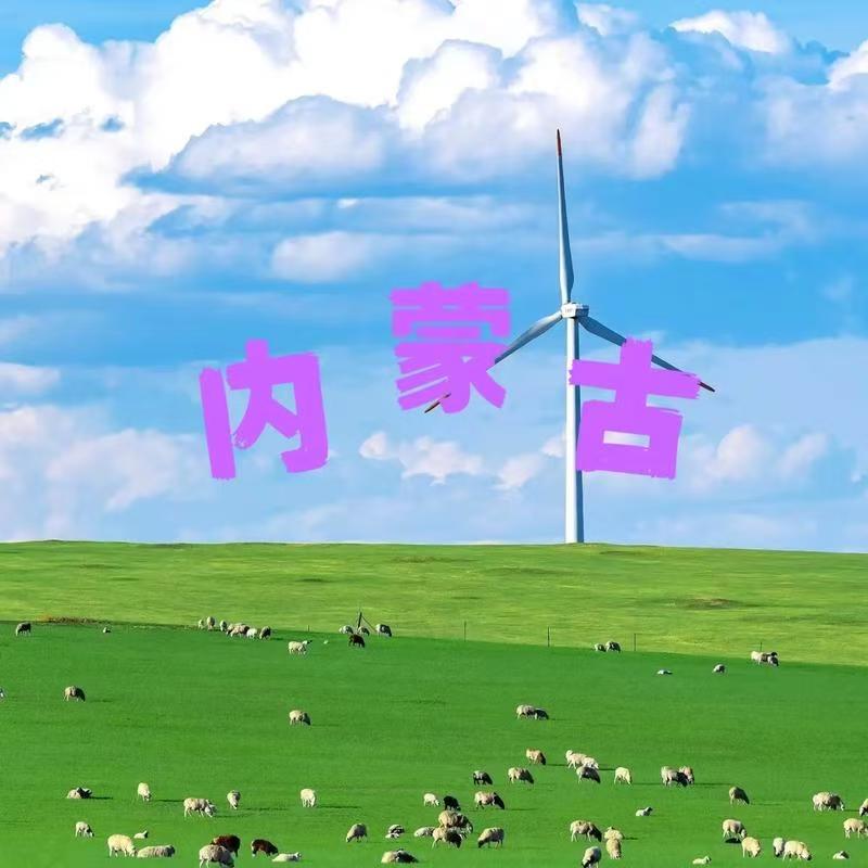 内蒙古草原烧烤(天乐路店)官方号