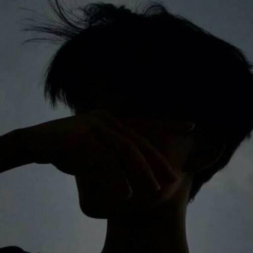 ༺❀鑫辰❀༻