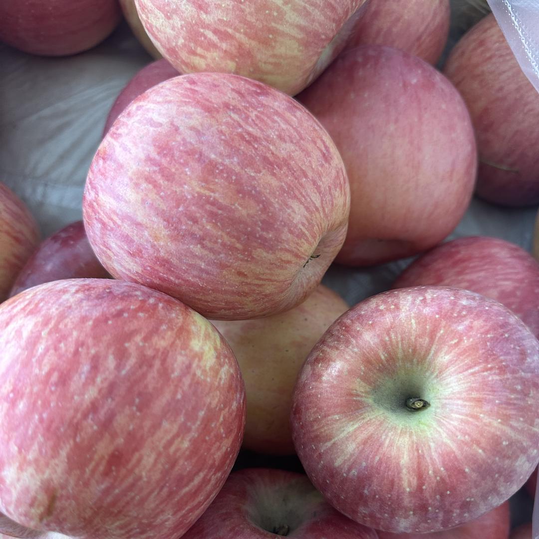 宁夏禾沐田园臻选阁