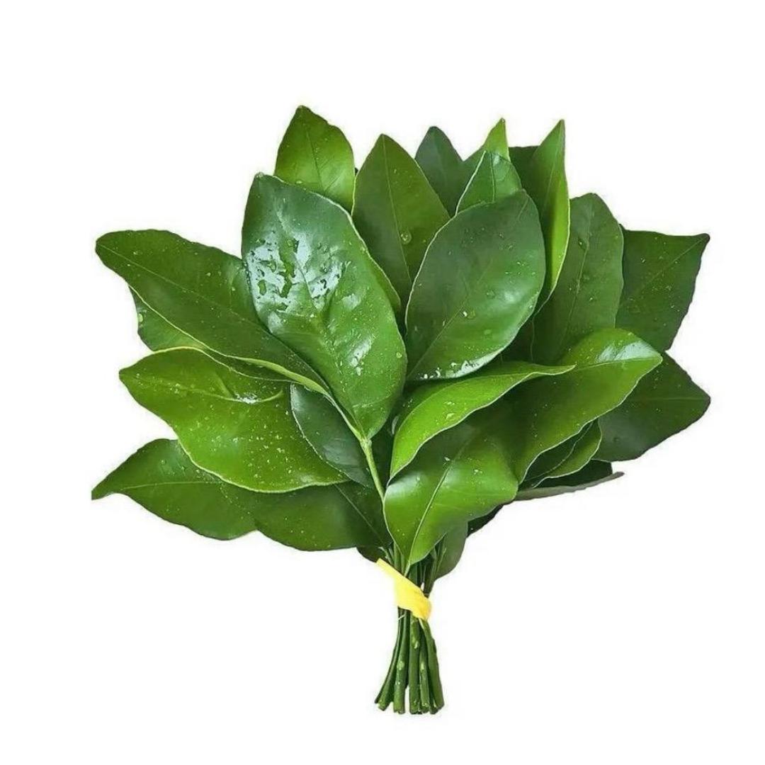 荷荷～