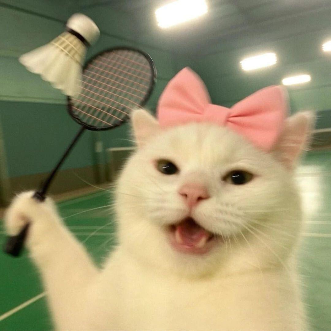 西红柿炒毛辣果