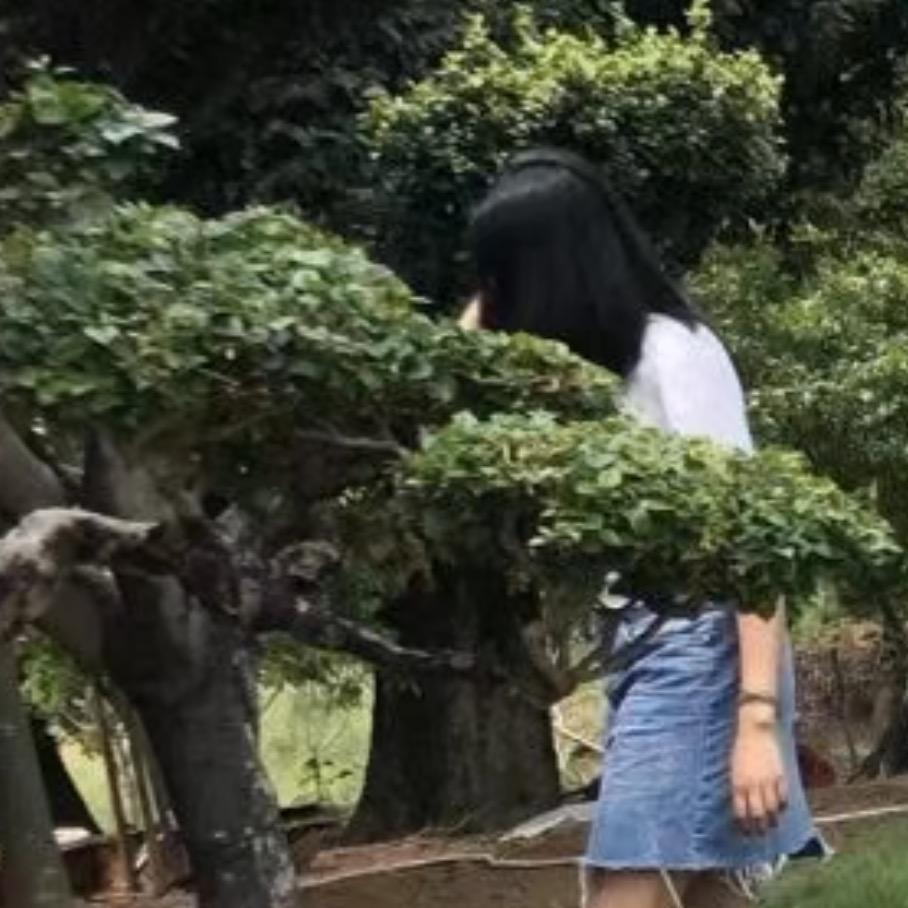 家居（橱柜定制）