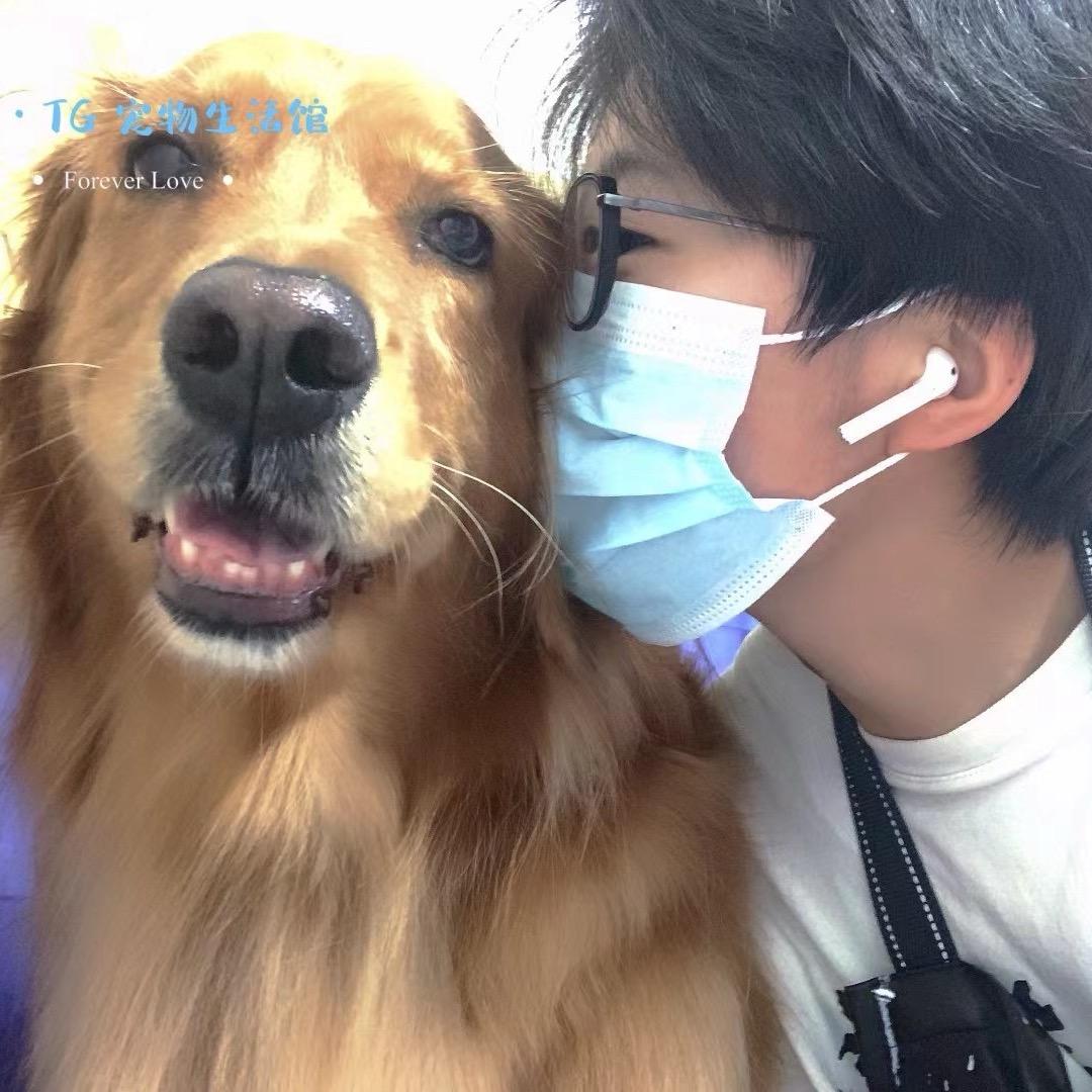 21TG宠物社