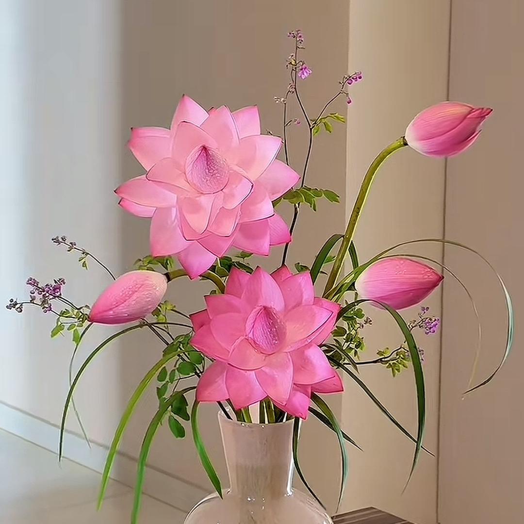 芝❤️燕