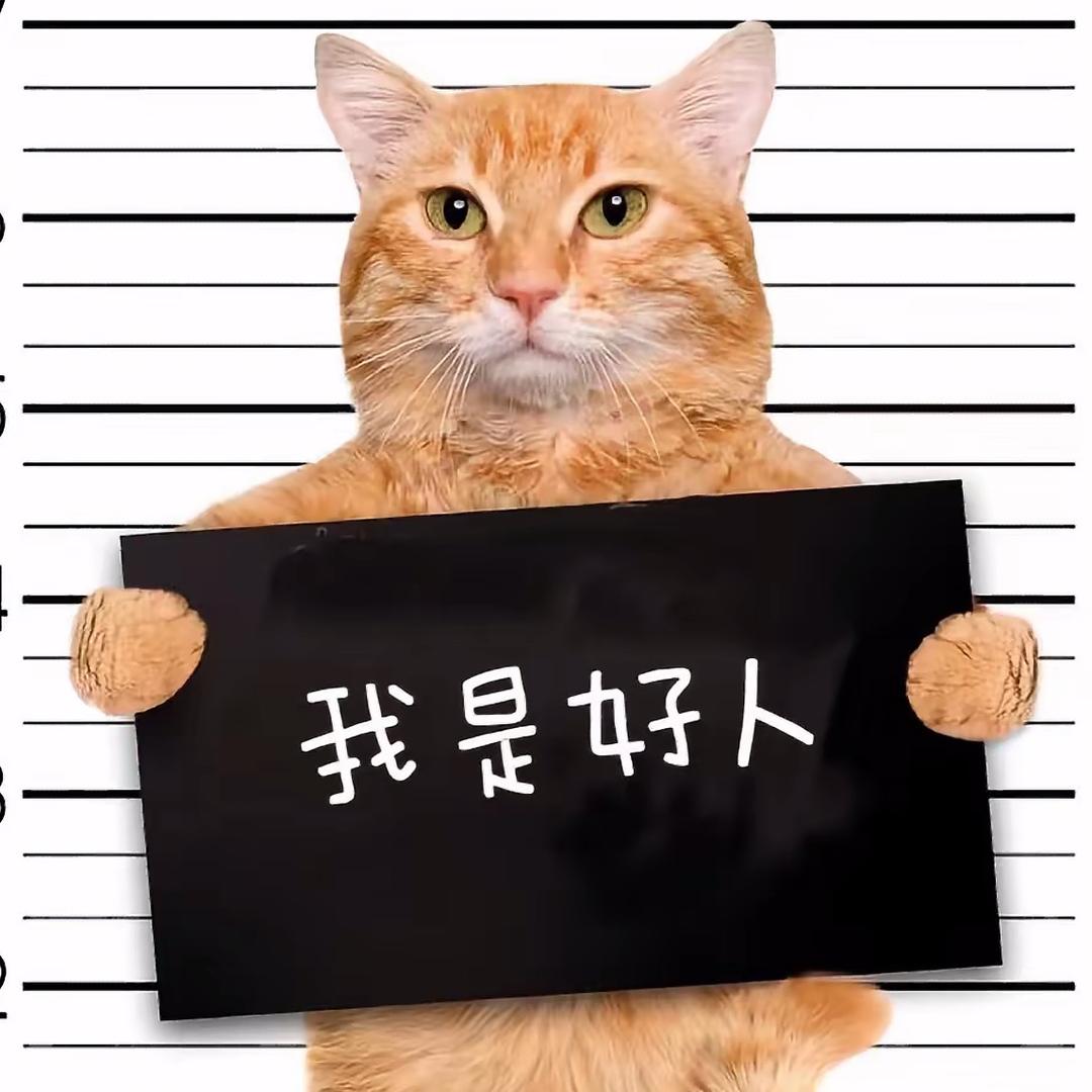 猫猫。