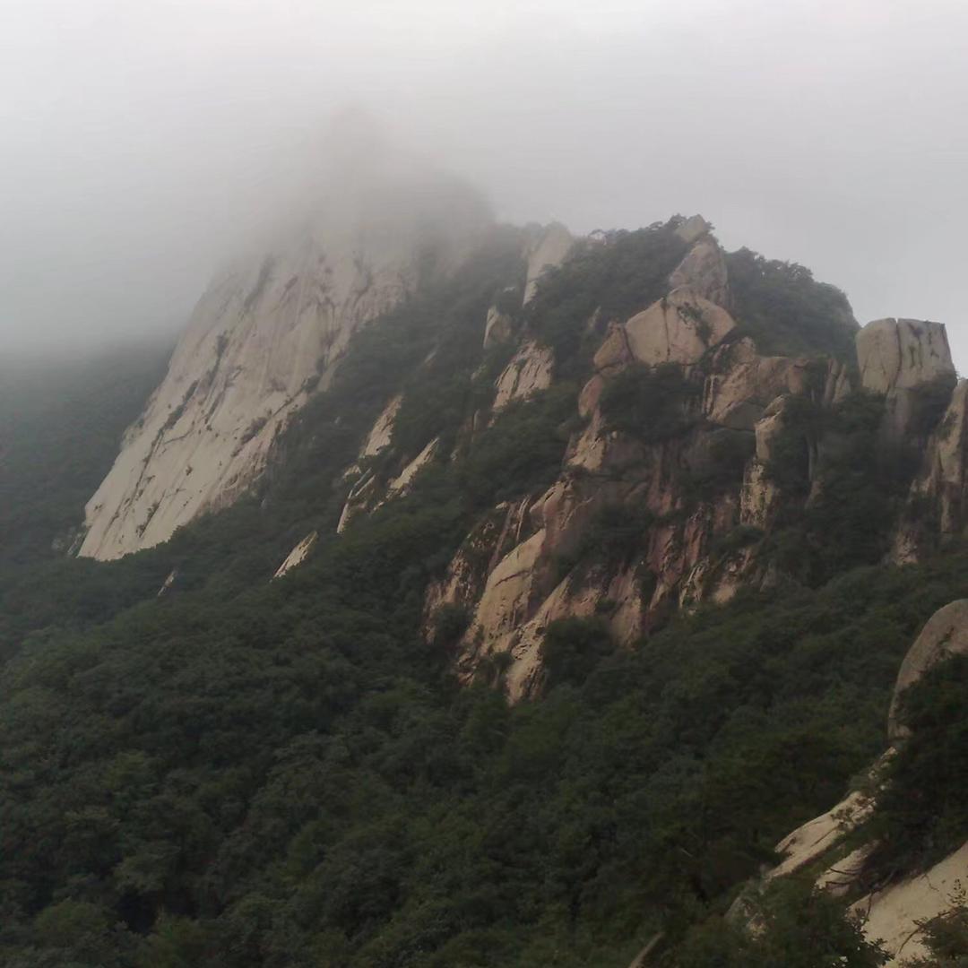 我为自己做主_217