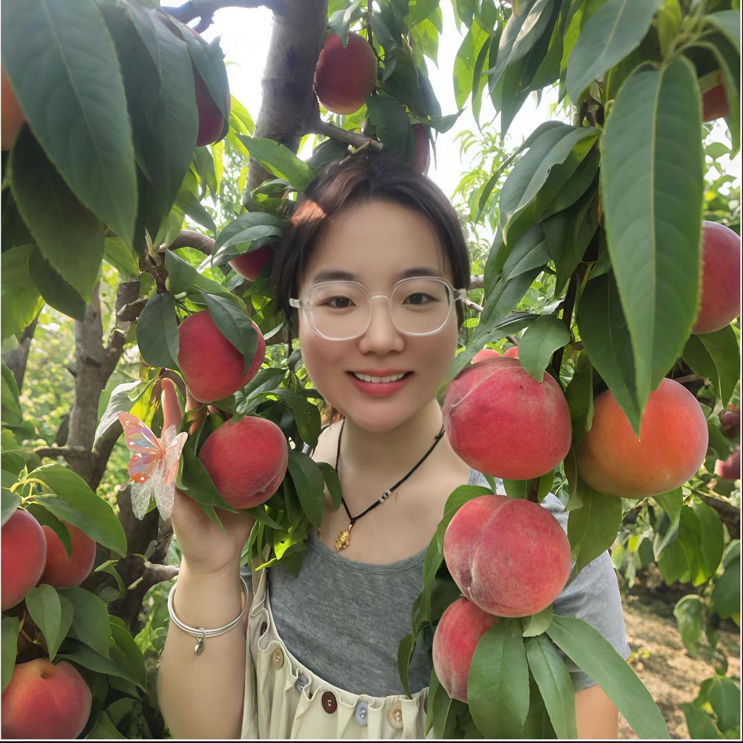 农业技术（西西）