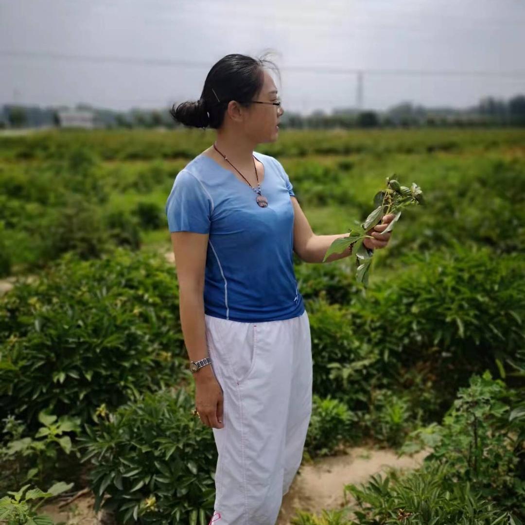裕杰茶社