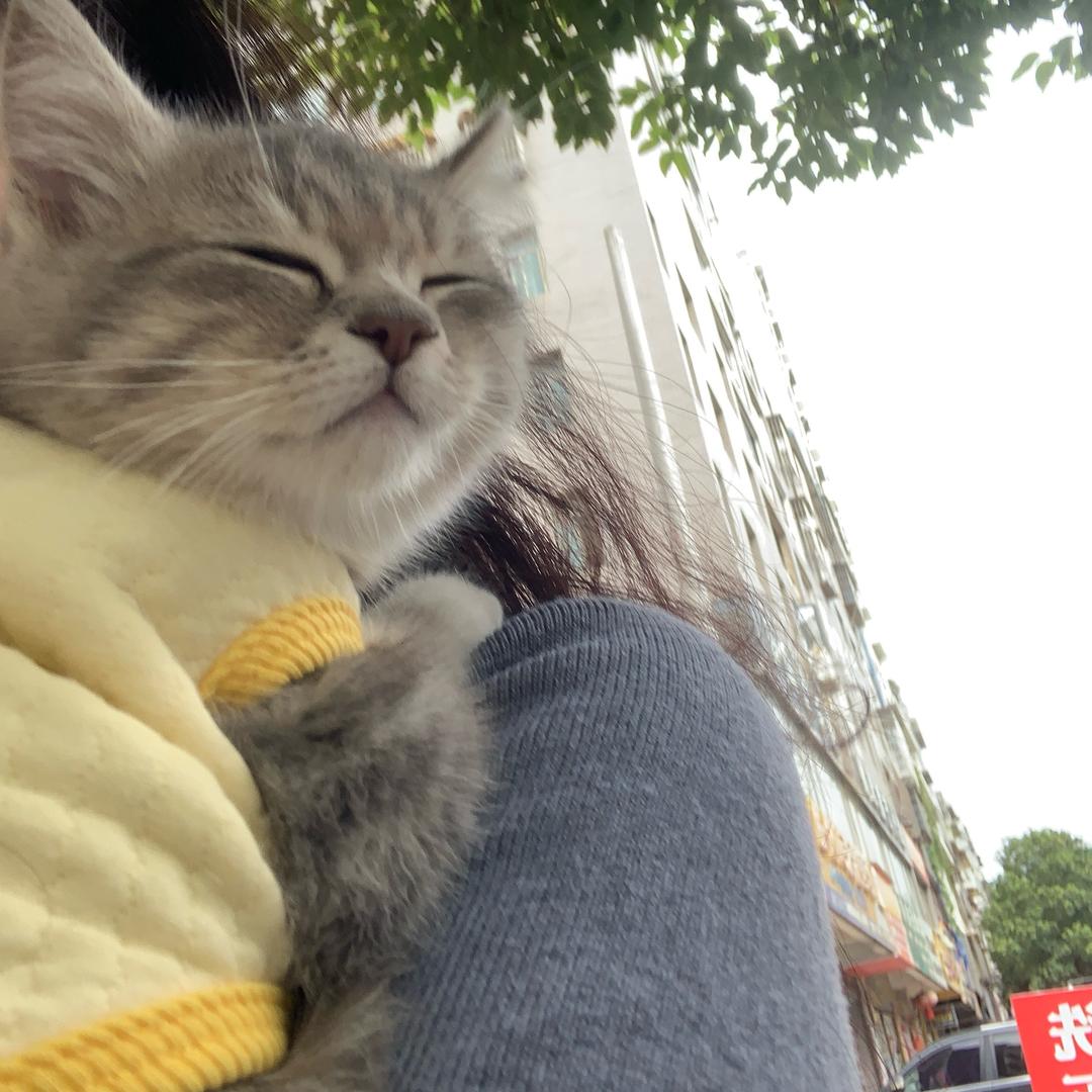 卷卷🐱