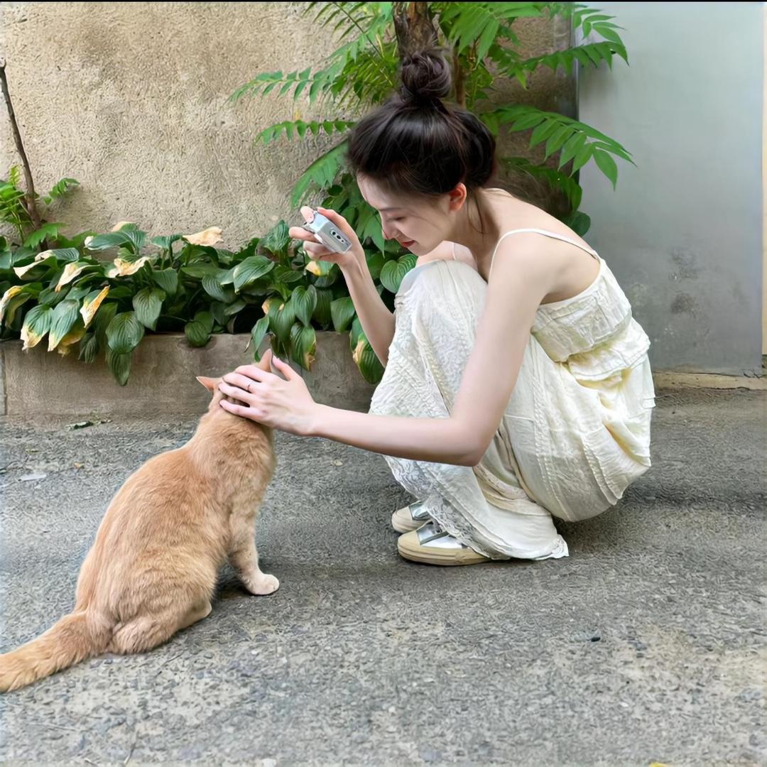 元宝🐟
