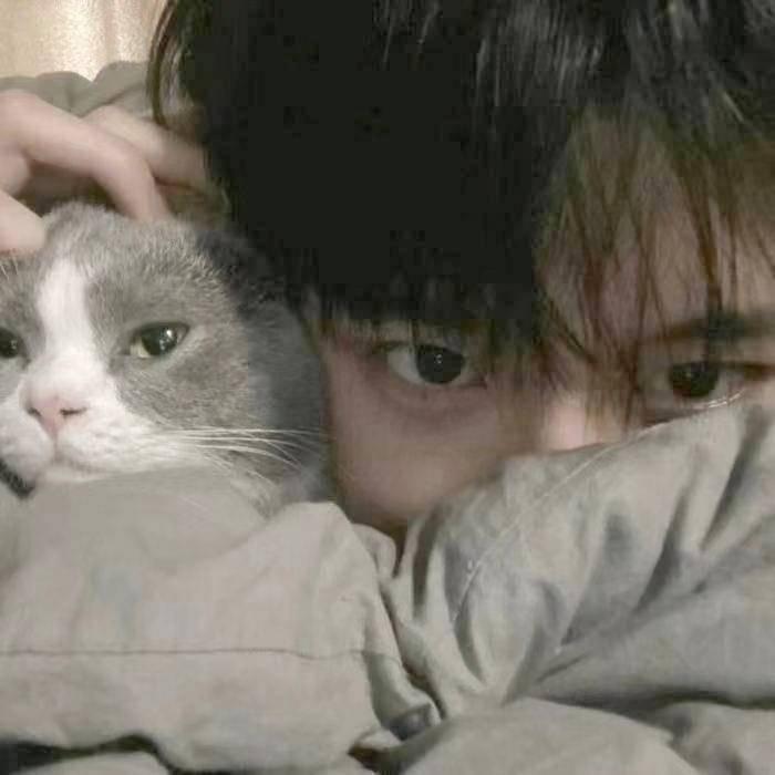 不叫龙枭(羊毛日记📖